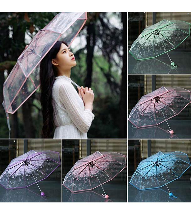 Transparent Umbrella